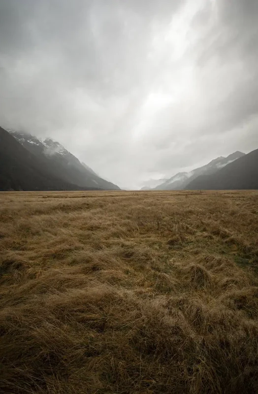 Eglinton Valley: ULTIMATE Guide For Visiting (2025) 15 A vast, empty field of tall, dry grass stretching towards a distant horizon where mountains meet the cloudy sky. The scene captures the expansive solitude of Eglinton Valley.