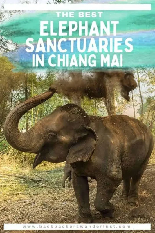 The 6 BEST Ethical Elephant Sanctuaries In Chiang Mai 17 Check out what the best elephant sanctuaries in Chiang Mai are during your visit to Thailand. Find out what makes an ethical elephant experience, the history of elephants in Thailand, the top elephant sanctuaries to visit, and more!