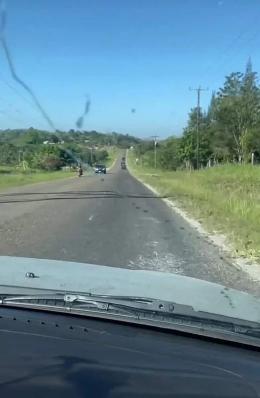Flores To Belize City: Bus, Shuttle, Or Flight? (2025) 6 A long stretch of highway seen from a car's windshield, with a clear blue sky and green landscape on either side. This image illustrates the road trip aspect of traveling from Flores to Belize City, emphasizing the open and scenic routes encountered.