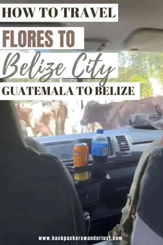 Flores To Belize City: Bus, Shuttle, Or Flight? (2025) 18 Check out how to travel from Flores to Belize City as we cross the border from Guatemala to Belize. I will let you know the transport options, travel times, how to book, and more!