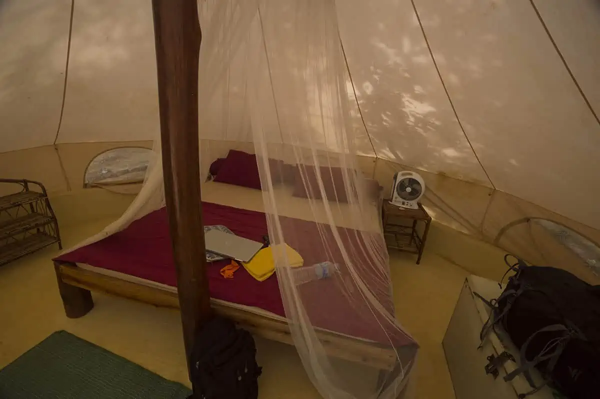 Koh Rong Or Koh Rong Samloem: Which Is BEST (2025) 24 our glamping tent at sleeping trees on koh rong samloem