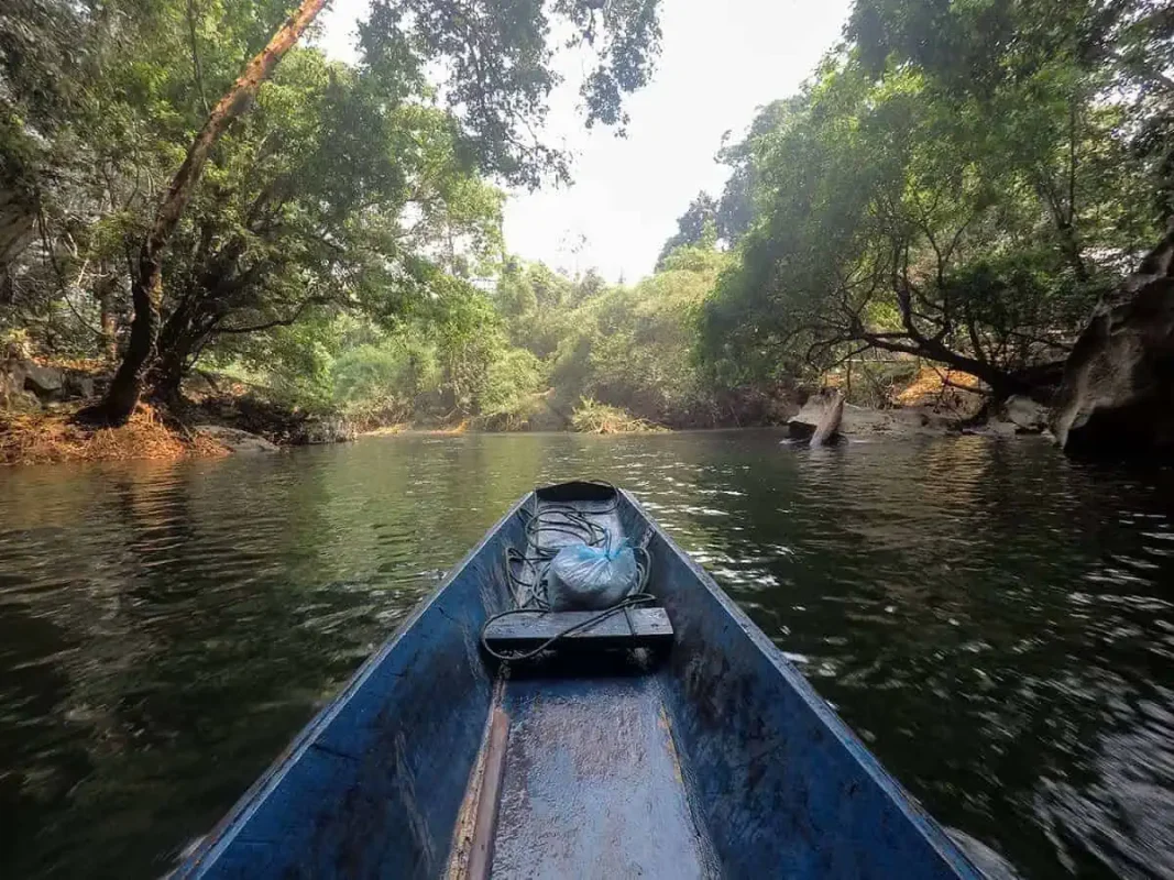 Kong Lor Cave, Laos: ULTIMATE Guide (2025) 4 coming out the other end of kong lor cave into the jungle