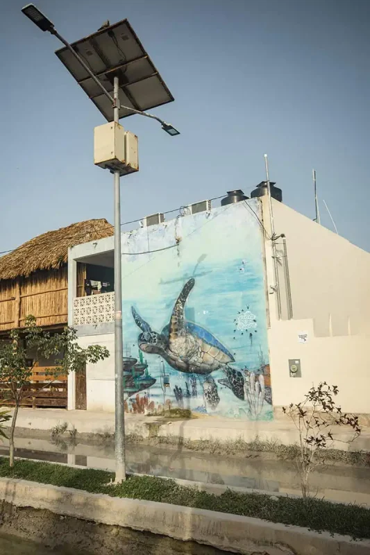 A mural on the side of a building featuring a large sea turtle swimming underwater, with colorful marine life around it. A streetlight with solar panels stands nearby, highlighting the cultural and artistic expressions found in Mexico