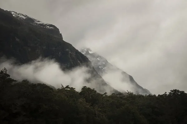 Mist drifts over dark green forests and steep cliffs in Milford Sound, New Zealand, one of the filming locations for the Lord of the Rings.