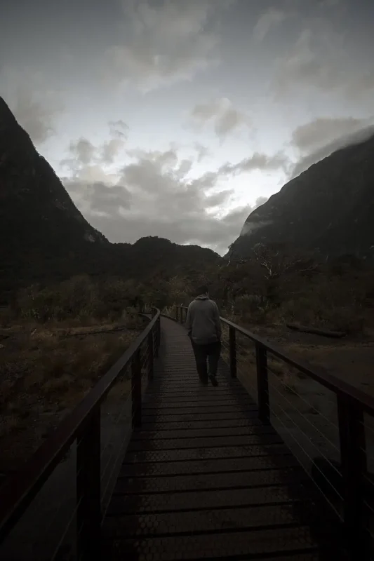 Milford Sound Swing: Where To Find It (2025) 10 A lone man walks a wooden boardwalk framed by cliffs under a gray sky.