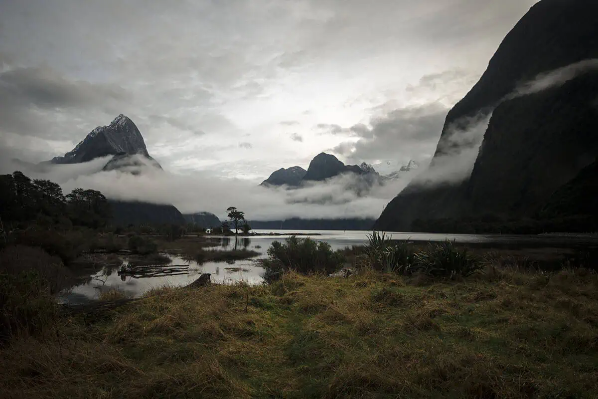Milford Sound Swing: Where To Find It (2025) 9 View across a grassy field and reflective water toward snow-dusted Mitre Peak partially obscured by low-hanging clouds in Milford Sound.