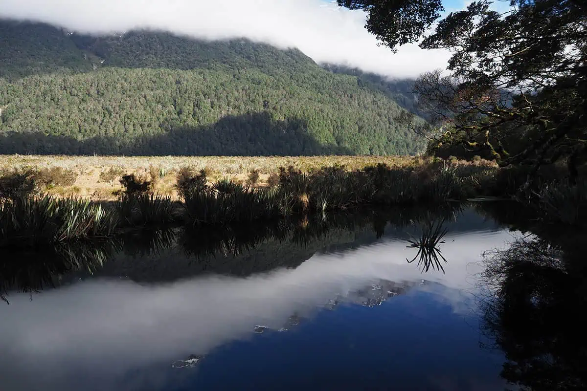Mirror Lakes: Is It Worth Visiting In Milford Sound, NZ? 6 Another picturesque scene of Mirror Lakes in Milford Sound, showcasing the pristine water reflecting the dense forest and misty mountains. The image captures the delicate balance of nature with vibrant greenery, serene water, and the imposing presence of the mountains under a sky dotted with clouds, creating a harmonious and peaceful atmosphere.