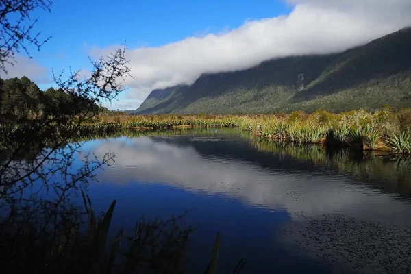 A serene view of Mirror Lakes in Milford Sound, New Zealand. The calm, reflective water mirrors the surrounding lush greenery and towering mountains, partially shrouded in a blanket of clouds. The foreground features some native vegetation, with the vibrant blue sky and scattered clouds creating a picturesque and tranquil scene.