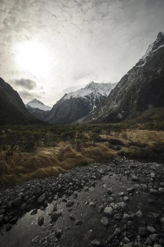 Monkey Creek: BEST Stop On The Way To Milford Sound 23 A small stream flows over a rocky bed in the foreground at Monkey Creek, New Zealand, leading the eye towards a backdrop of towering, snow-covered mountains. The landscape is a mix of golden grasses and green shrubs, contrasting with the dark, imposing peaks under a cloudy sky. The scene is serene and captivating, highlighting the natural beauty of the area.