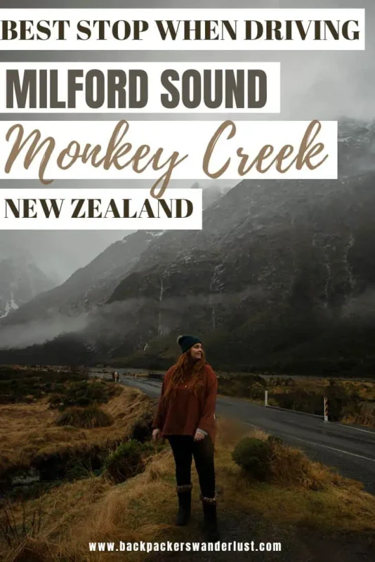 Monkey Creek: BEST Stop On The Way To Milford Sound 24 If you are driving to Milford Sound one of the best stops to make a long the way is the hidden secret called Monkey Creek. Come see why it's worth visiting, why it's even called that, what to do there, and more!