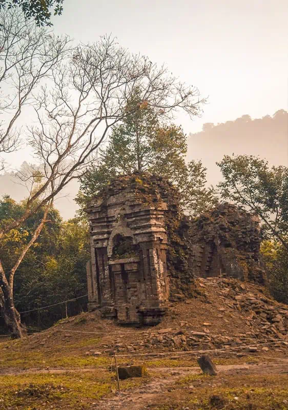 My Son Sanctuary Hoi An: BEST Tips & Tours (2025) 16 a tree growing out the top of one of the temples at my son sanctuary
