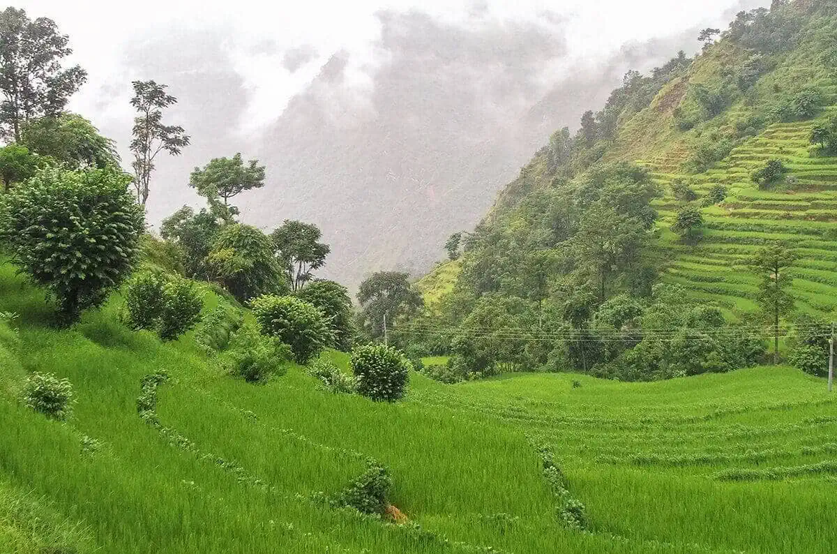 Day 1: Pokhara To Besisahar & Bahundanda: Starting The Annapurna Circuit 6 rice terraces from besisahar to bahundanda