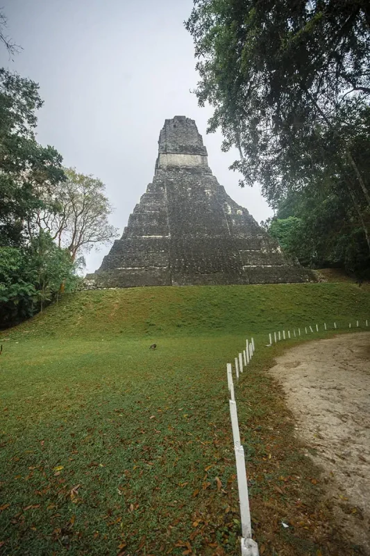 San Ignacio To Tikal & BEST Tikal Tours From San Ignacio 5 The grand Temple I at Tikal against a grey sky, seen by travelers who venture from San Ignacio for a historical excursion.