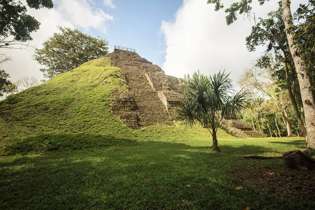 San Ignacio To Tikal & BEST Tikal Tours From San Ignacio 10 hillside of the Mayan ruins seen on a day trip from San Ignacio to Tikal, showcasing the rich vegetation and ancient stone steps partially covered in moss.
