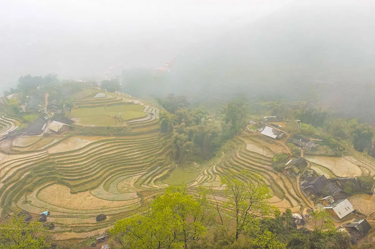 Sapa In February: All You Need To Know (2025) 7 empty rice fields in sapa vietnam