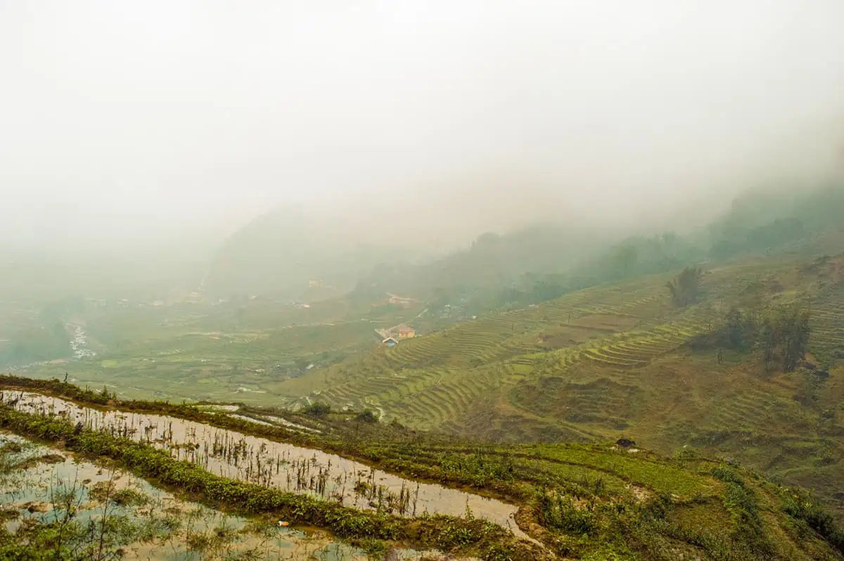 Sapa In February: All You Need To Know (2025) 3 looking over rice paddies over the valley in sapa during february