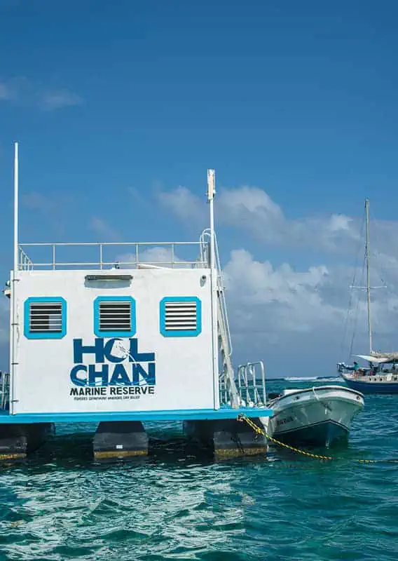 Caye Caulker Snorkeling Tours: Discover The Ultimate Underwater Paradise 11 the ticket booth for hol chan marine reserve floating in the open water