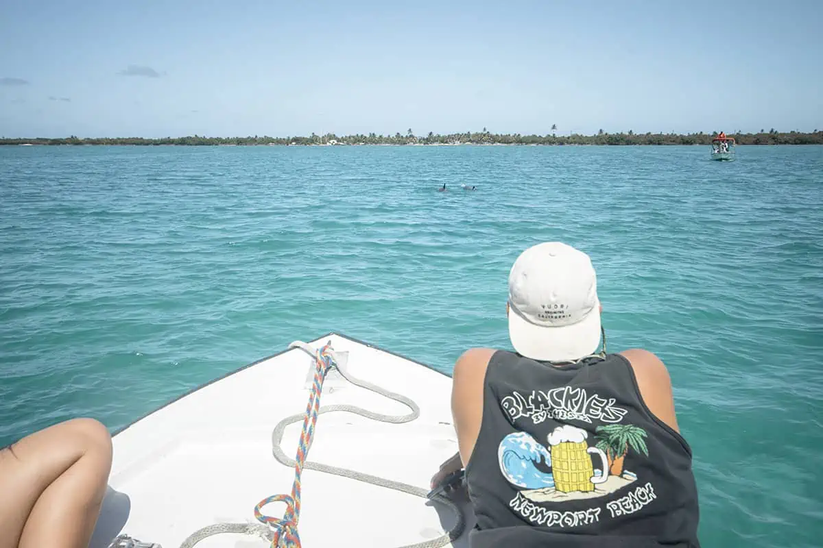 Caye Caulker Snorkeling Tours: Discover The Ultimate Underwater Paradise 17 hanging on the front of the boat following a pod of dolphins at caye caulker