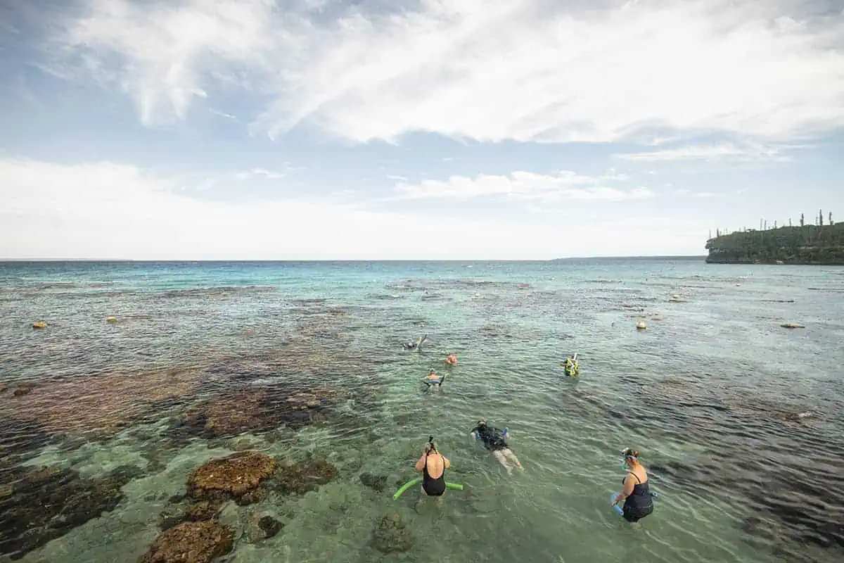14 BEST Things To Do In Lifou: Cruise Passengers & More 8 Snorkelers exploring the clear, shallow waters over a coral reef, with a rocky coastline in the background, a popular activity for visitors from a cruise ship in Lifou.