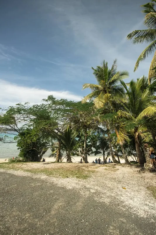 14 BEST Things To Do In Lifou: Cruise Passengers & More 13 A tranquil beach scene in Lifou, New Caledonia, showcasing a clear path leading to a sandy beach flanked by lush palm trees under a wide blue sky.