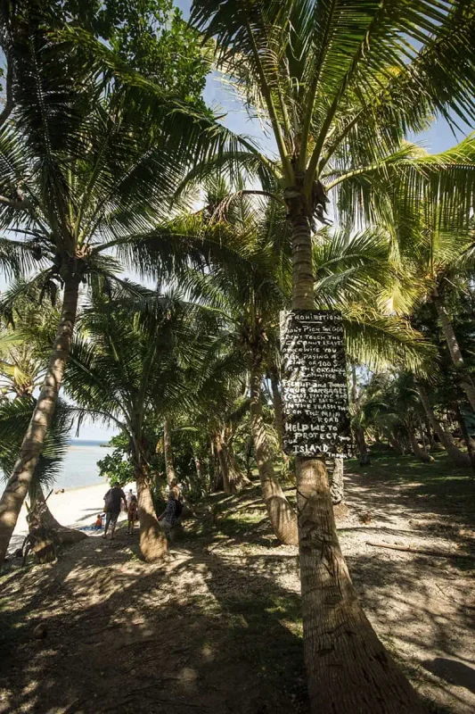 14 BEST Things To Do In Lifou: Cruise Passengers & More 20 A palm tree with a sign containing prohibitions and guidelines for visitors is situated among other palms on a beach in Lifou, illustrating some of the things to do and regulations to follow when visiting from a cruise ship.