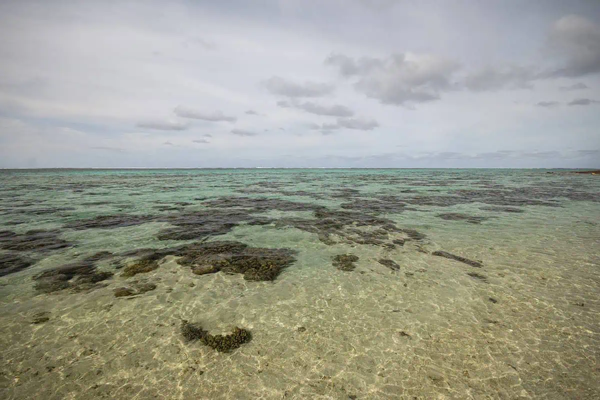 Things To Do On Mystery Island In Vanuatu: For Cruise Passengers & More 16 Clear shallow waters off Mystery Island reveal patches of coral reef spread across a sandy seabed, with soft cloud cover stretching over the horizon.