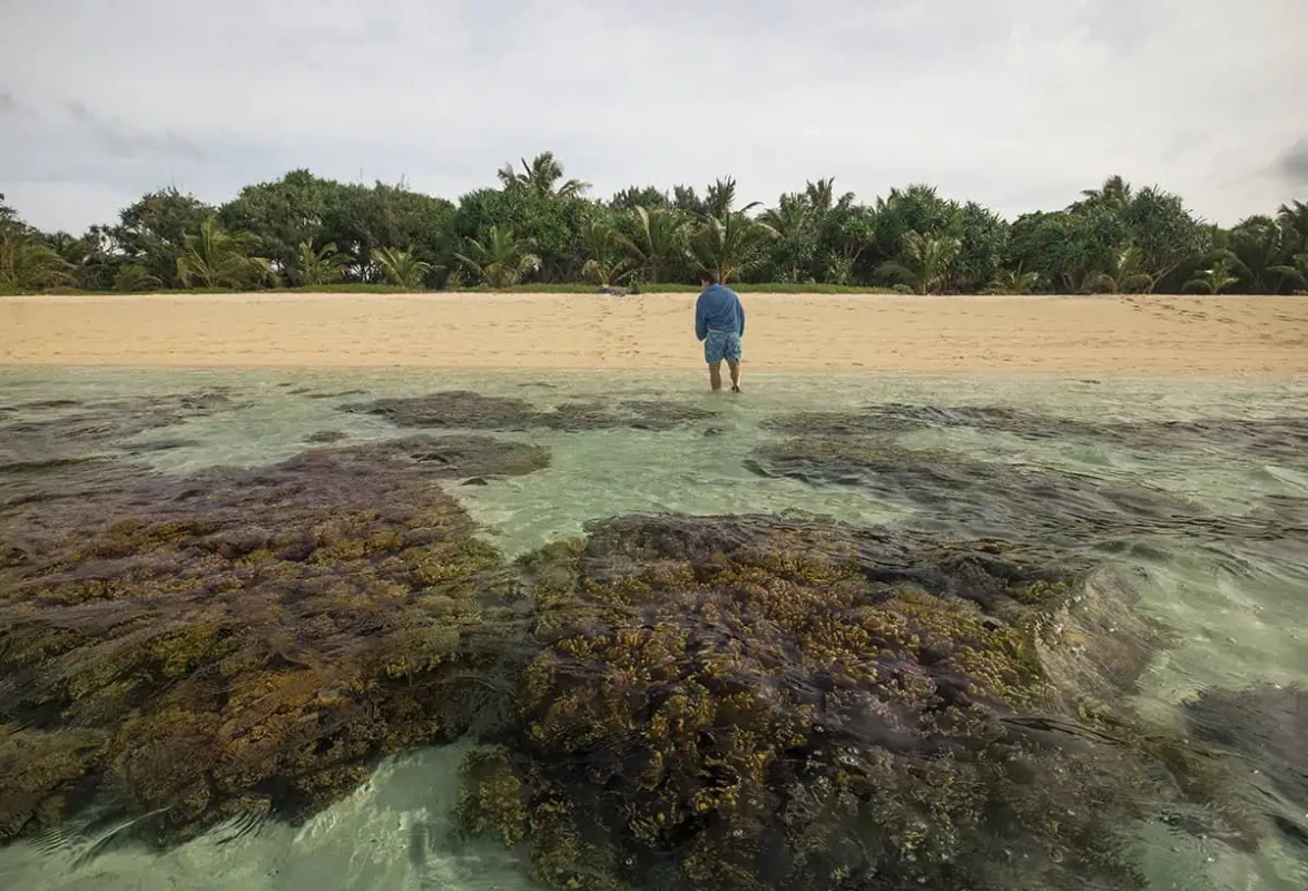 Things To Do On Mystery Island In Vanuatu: For Cruise Passengers & More 23 a man wrapped in a towel wades through coral-filled shallows toward the sandy beach