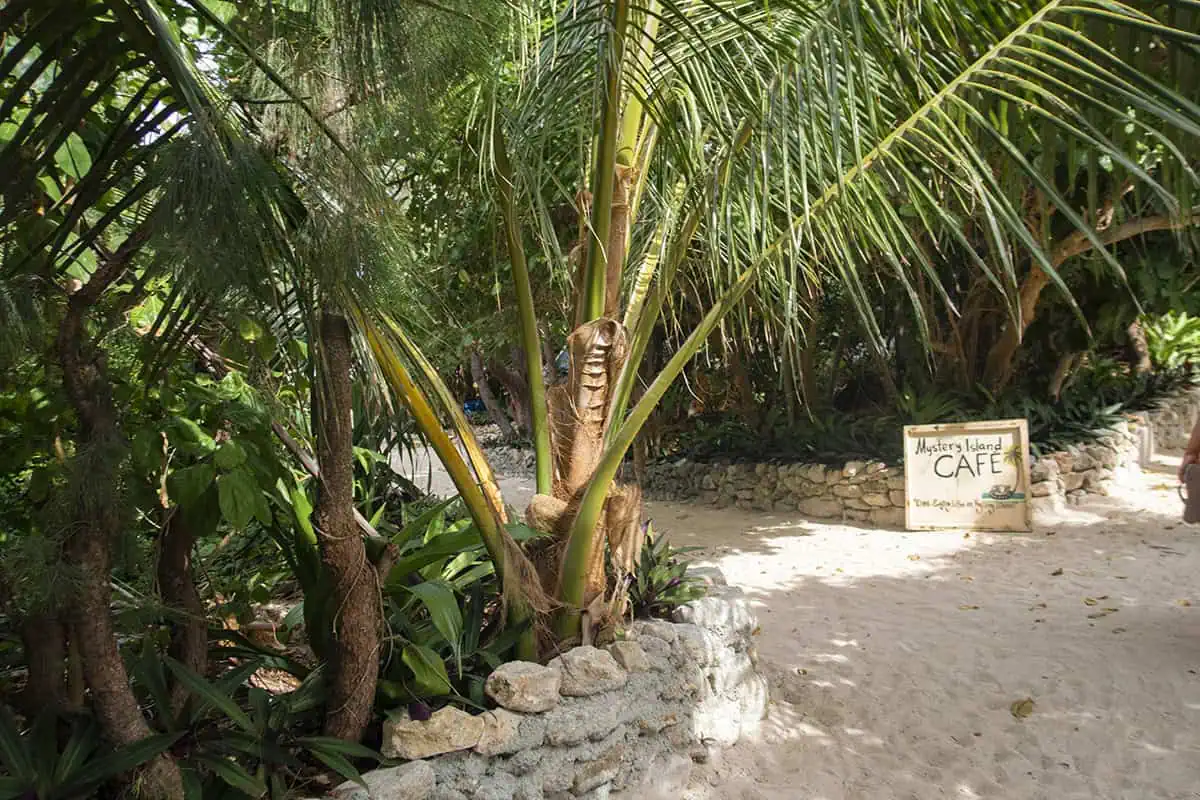 Things To Do On Mystery Island In Vanuatu: For Cruise Passengers & More 21 A small sign reading “Mystery Island Café” is nestled among dense tropical plants and coconut palms along a sandy path.