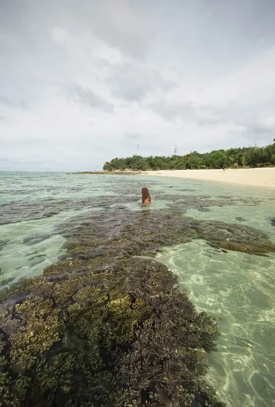 Things To Do On Mystery Island In Vanuatu: For Cruise Passengers & More 7 Back view tasha amy immersed in the shallow, coral-rich waters along Mystery Island’s shoreline, with golden sand and palm trees in the background.