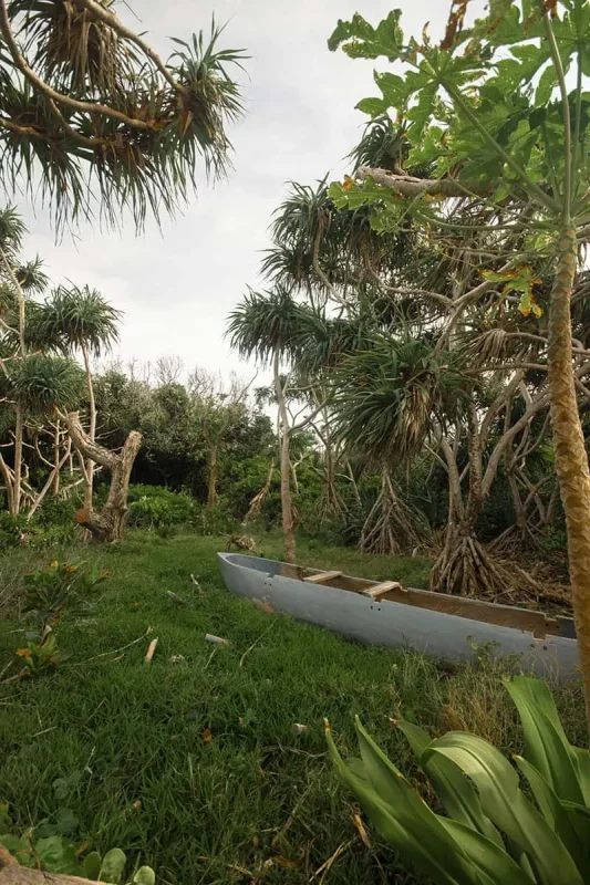 Things To Do On Mystery Island In Vanuatu: For Cruise Passengers & More 17 An old wooden canoe rests in a grassy clearing surrounded by thick, root-exposed trees on Mystery Island.
