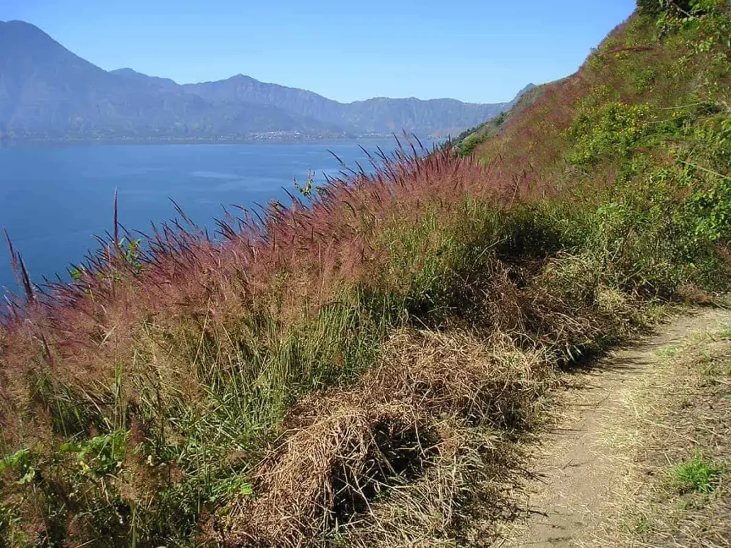 Panajachel To San Pedro & The Towns Between: How To Travel Around Lake Atitlan 34 hiking along lake atitlan to jaibalito