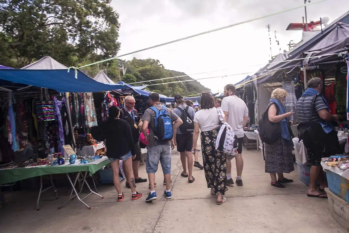 Vila Vanuatu Cruise Port: What To Know And Best Things To Do 15 walking through the market with stalls set up on each side while walking towards the ship. these are set up each time there is a ship at vila vanuatu cruise port