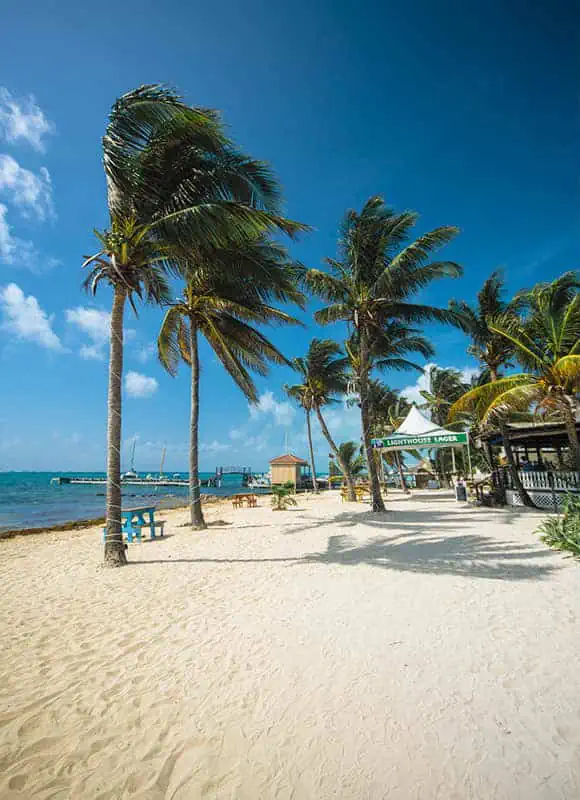 Why Visit Belize: 20 Reasons To Add It To Your Travel Bucketlist 25 swaying palm trees on the beach in san pedro