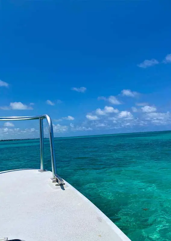 Why Visit Belize: 20 Reasons To Add It To Your Travel Bucketlist 13 incredible views while taking a ferry from belize city to caye caulker