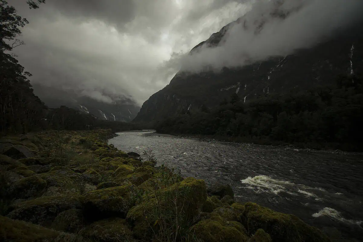 Milford Sound In Winter: Is It Still Worth The Hype? 23 lush, green riverbank covered in moss and scattered rocks lines a winding river, flowing through a dramatic, mountainous landscape. The sky is heavily clouded, with mist hanging low over the forested slopes and steep cliffs, creating a moody and mystical winter scene in Milford Sound.